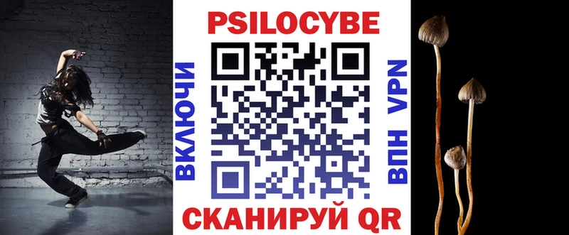 Псилоцибиновые грибы прущие грибы  купить закладку  Бабушкин 