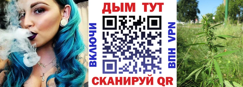 Канабис план  Бабушкин 